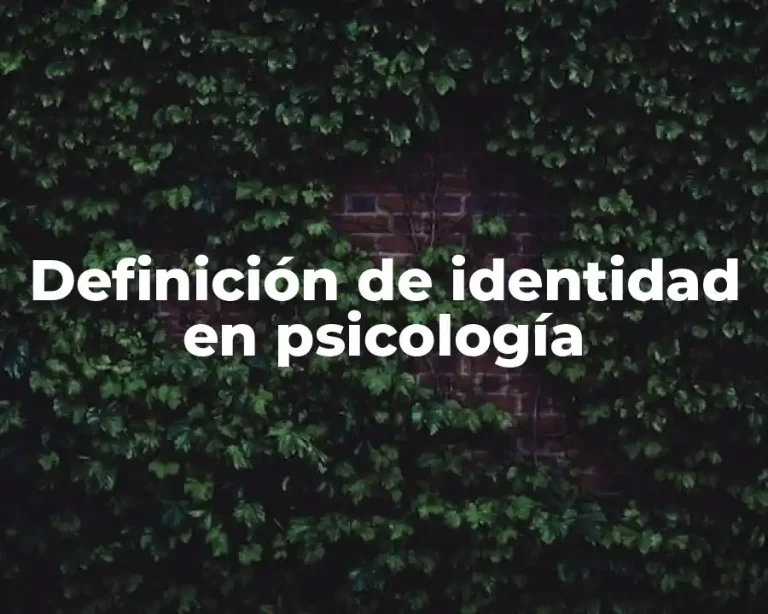 Definición de identidad en psicología
