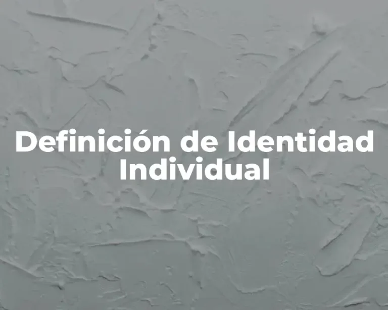 Definición de Identidad Individual