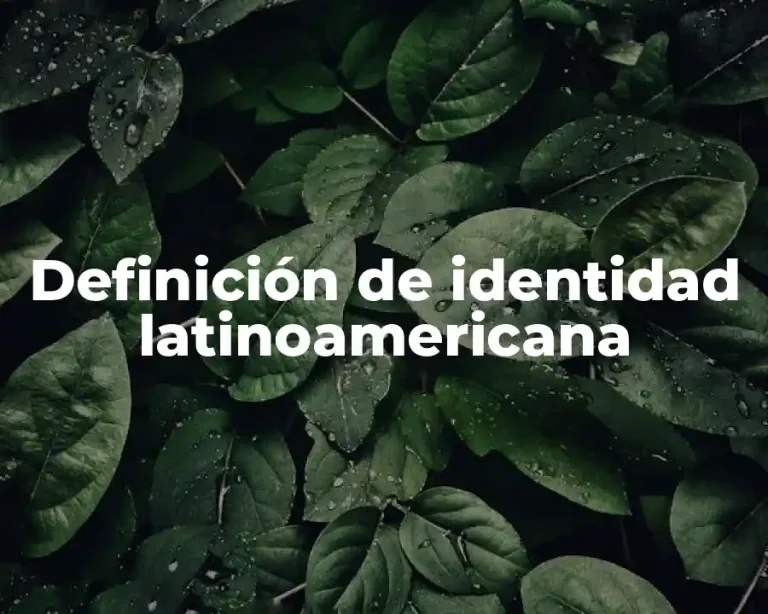 Definición de identidad latinoamericana