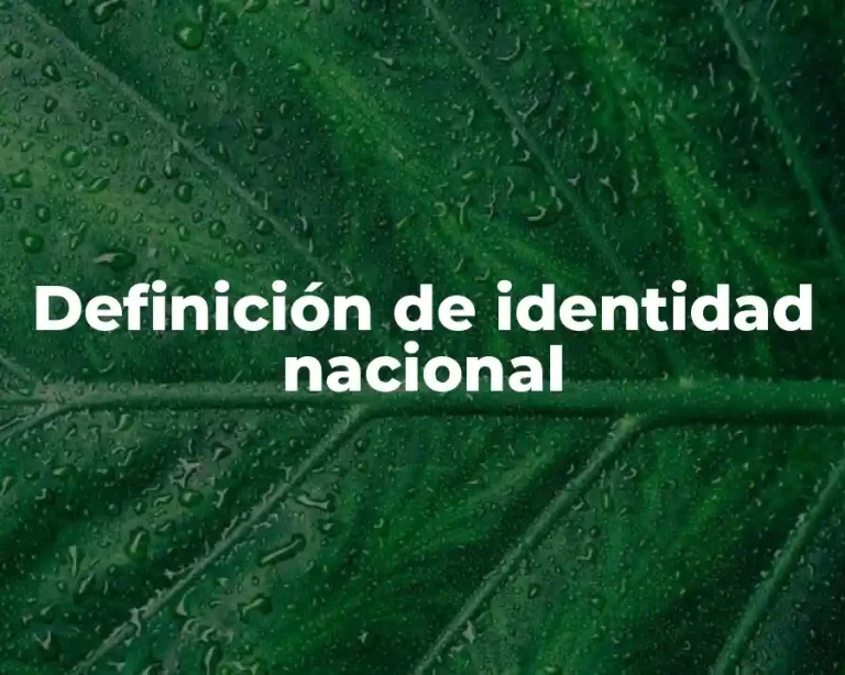 Definición de identidad nacional