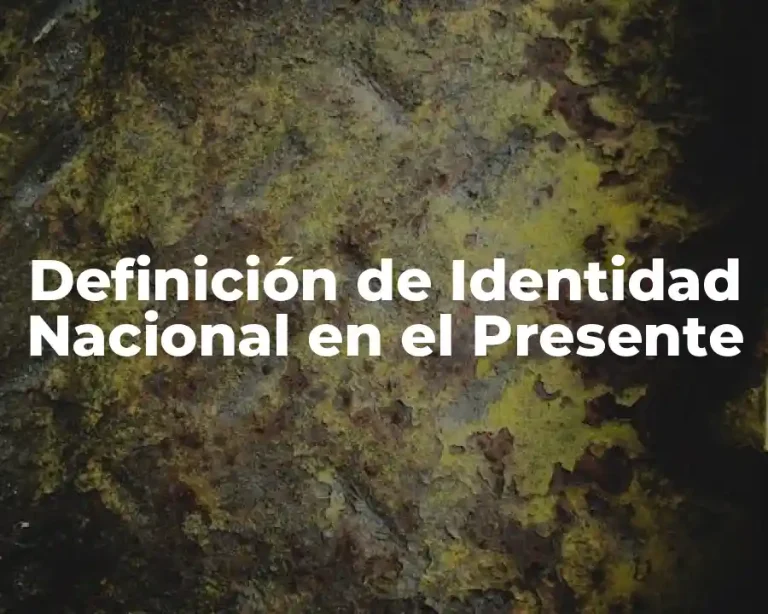 Definición de Identidad Nacional en el Presente