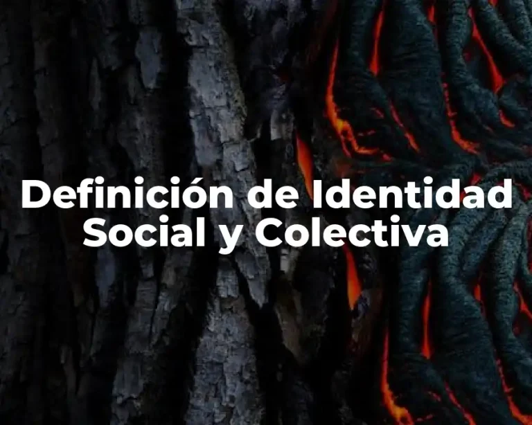 Definición de Identidad Social y Colectiva