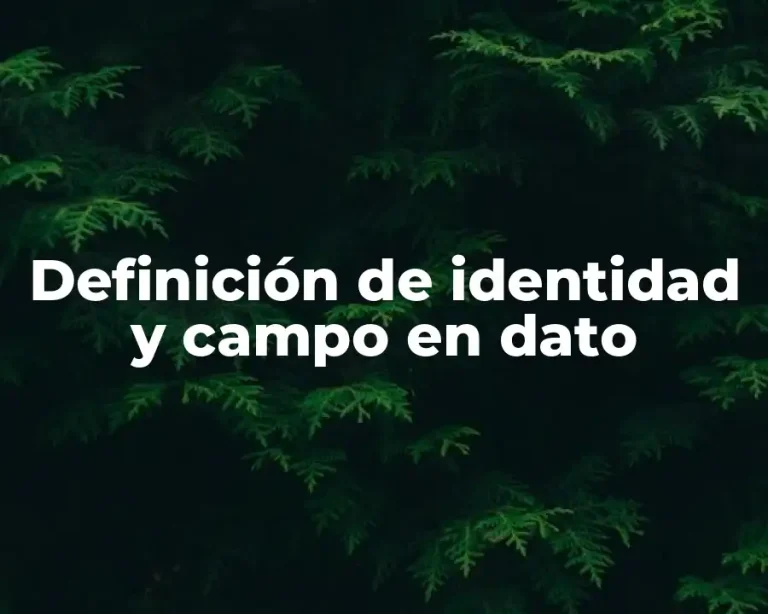 Definición de identidad y campo en dato