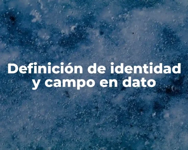 Definición de identidad y campo en dato