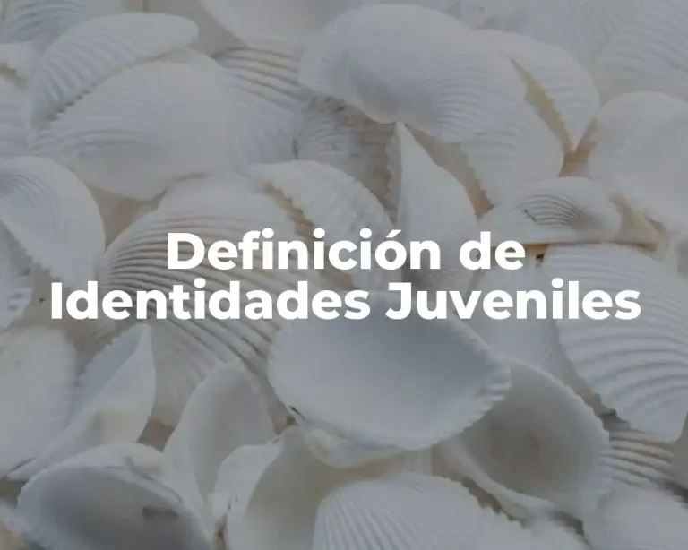 Definición de Identidades Juveniles