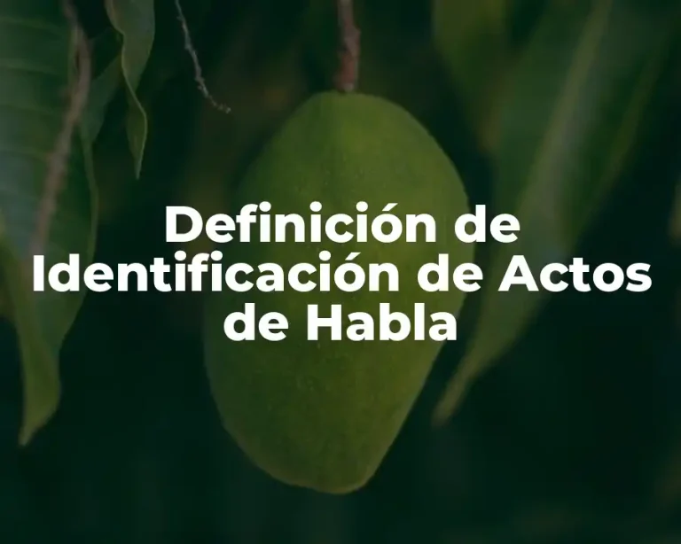 Definición de Identificación de Actos de Habla