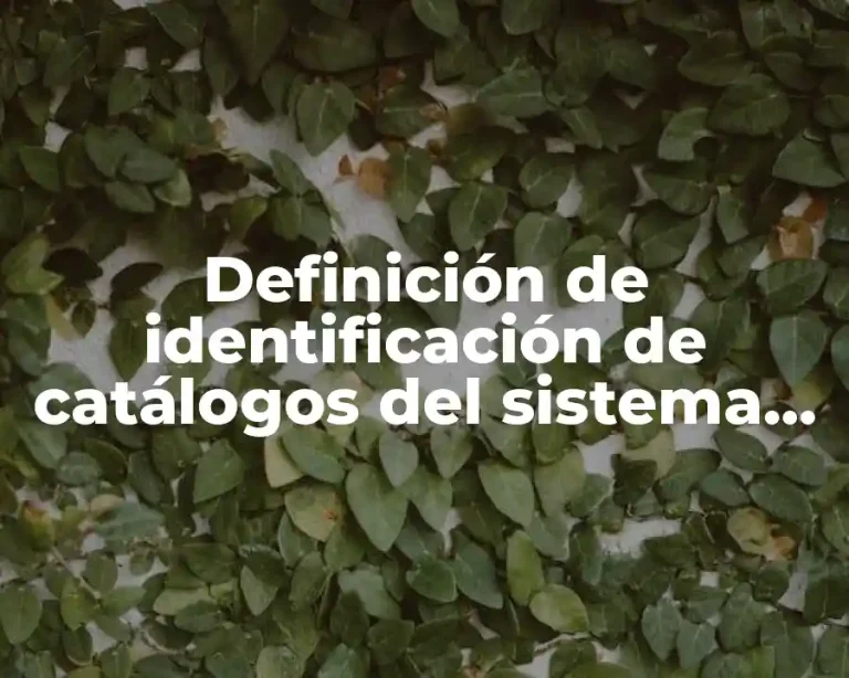 Definición de identificación de catálogos del sistema de