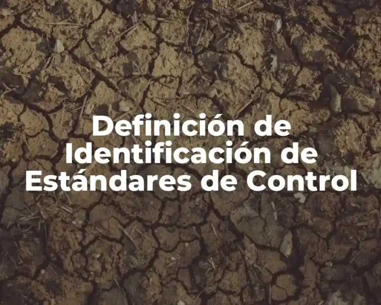 Definición de Identificación de Estándares de Control
