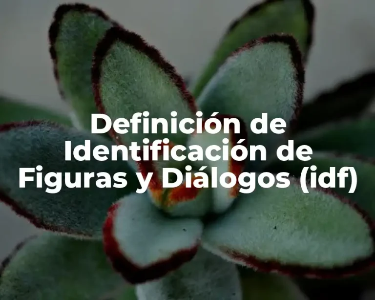 Definición de Identificación de Figuras y Diálogos (idf)