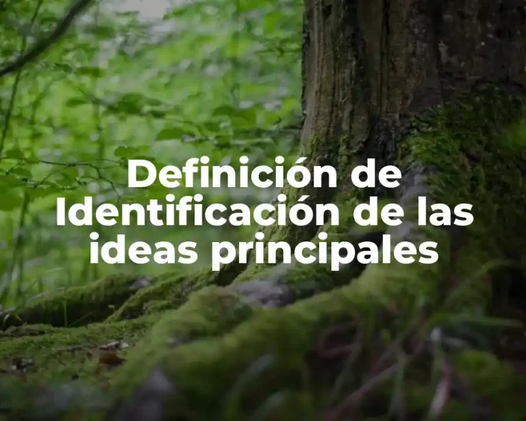 Definición de Identificación de las ideas principales
