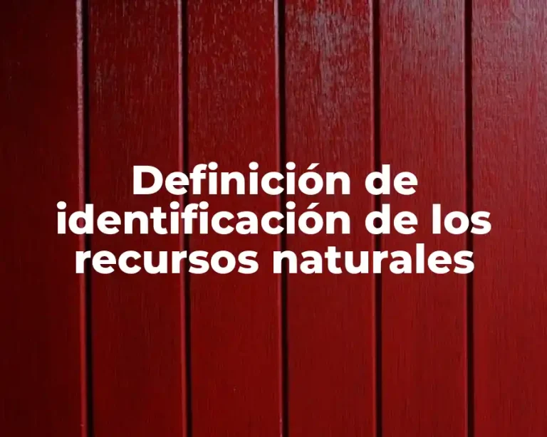 Definición de identificación de los recursos naturales