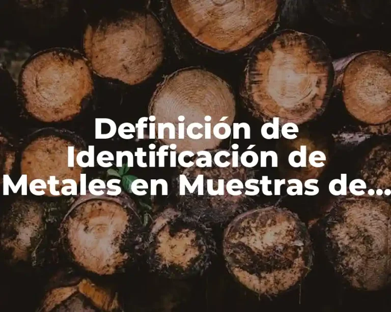 Definición de Identificación de Metales en Muestras de Suelo