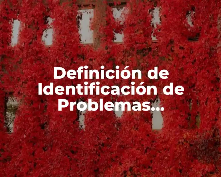 Definición de Identificación de Problemas, Oportunidades y Objetivos