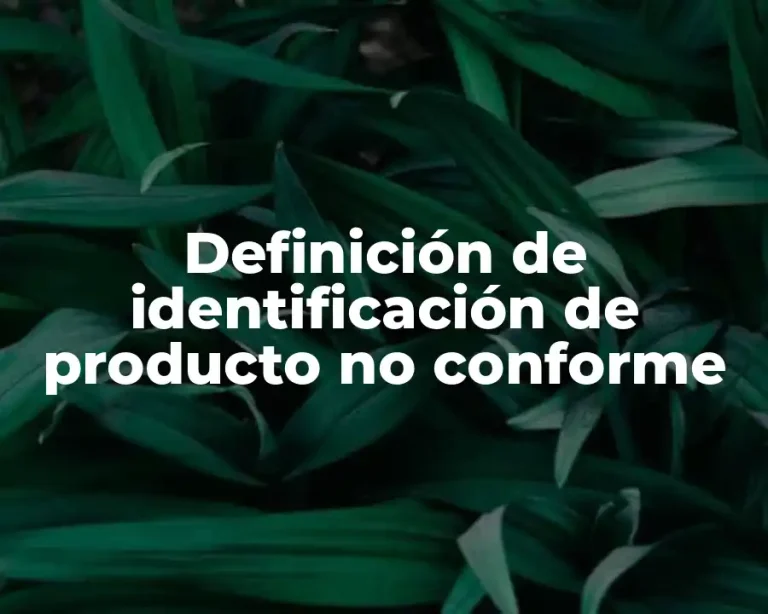 Definición de identificación de producto no conforme