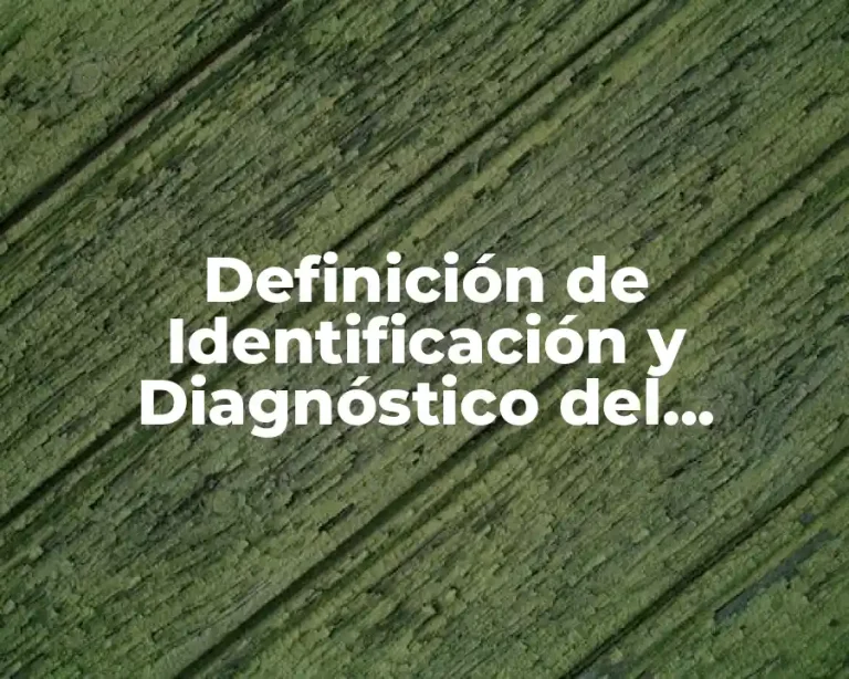 Definición de Identificación y Diagnóstico del Problema