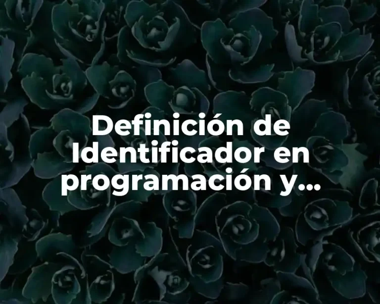 Definición de Identificador en programación y ejemplos