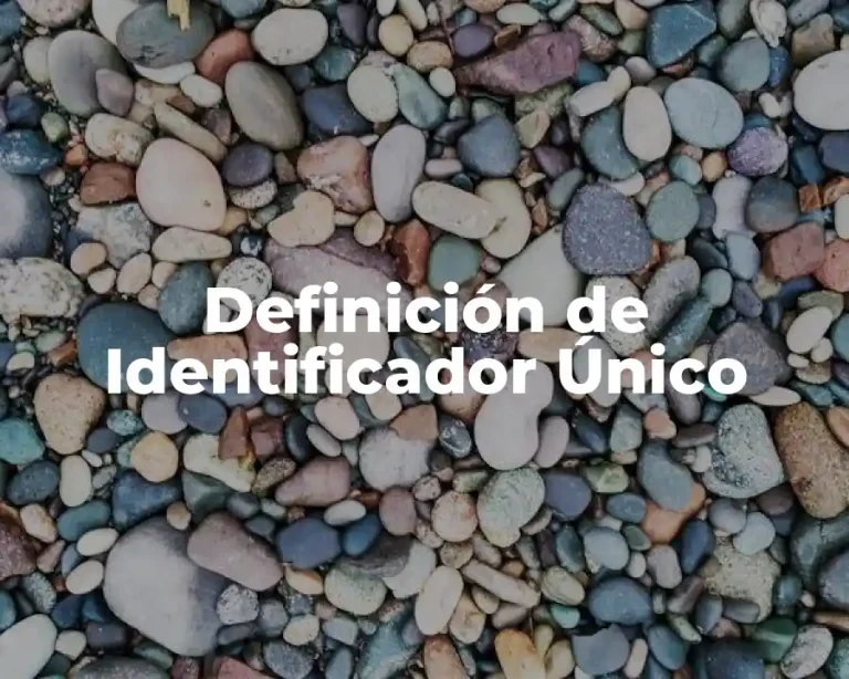 Definición de Identificador Único
