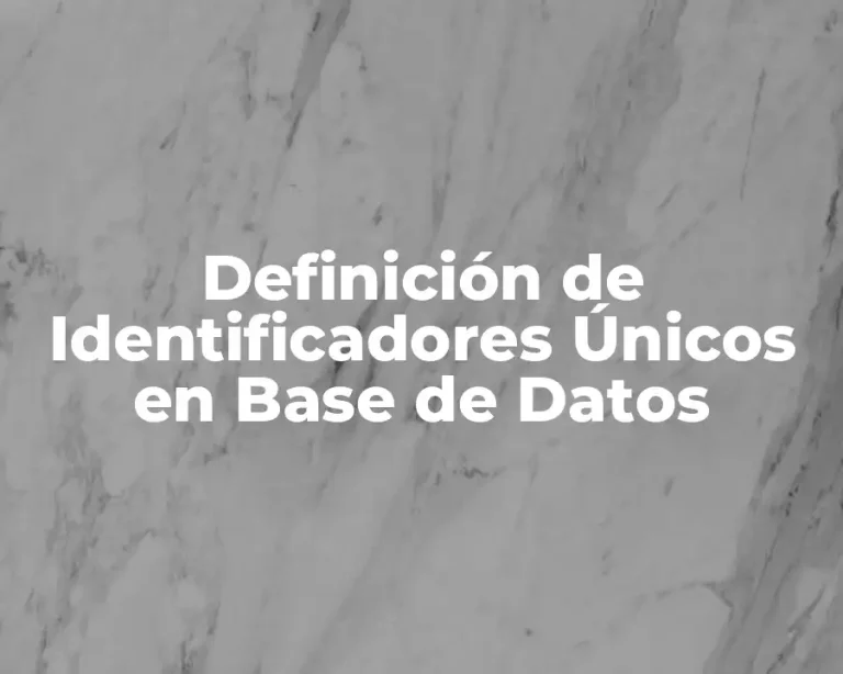 Definición de Identificadores Únicos en Base de Datos