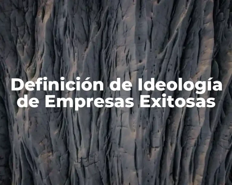 Definición de Ideología de Empresas Exitosas
