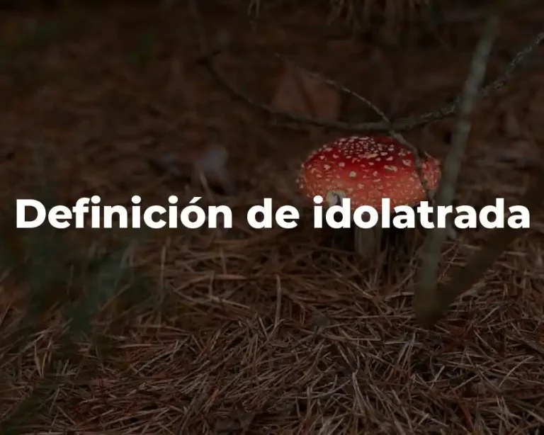 Definición de idolatrada