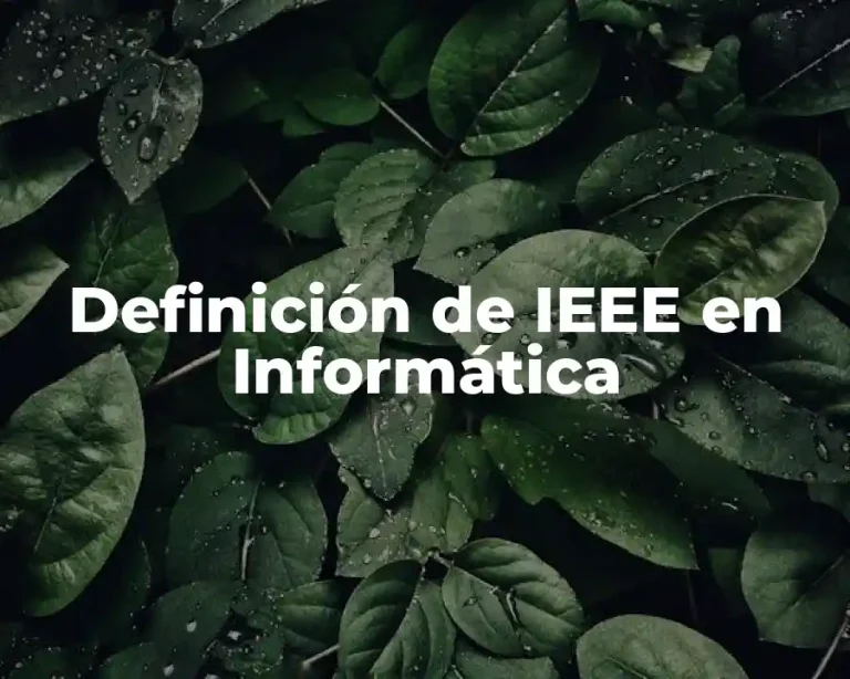 Definición de IEEE en Informática