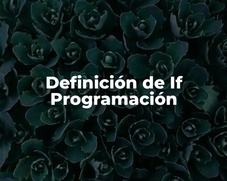 Definición de If Programación