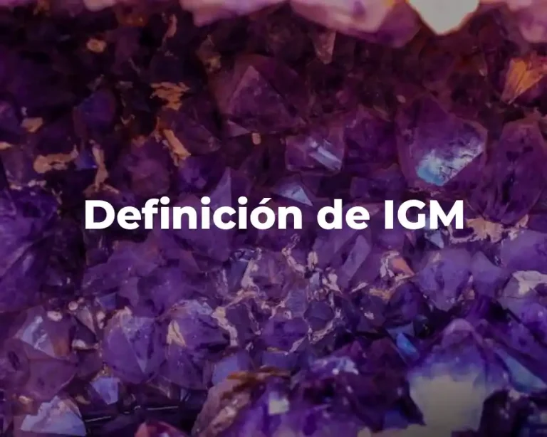 Definición de IGM