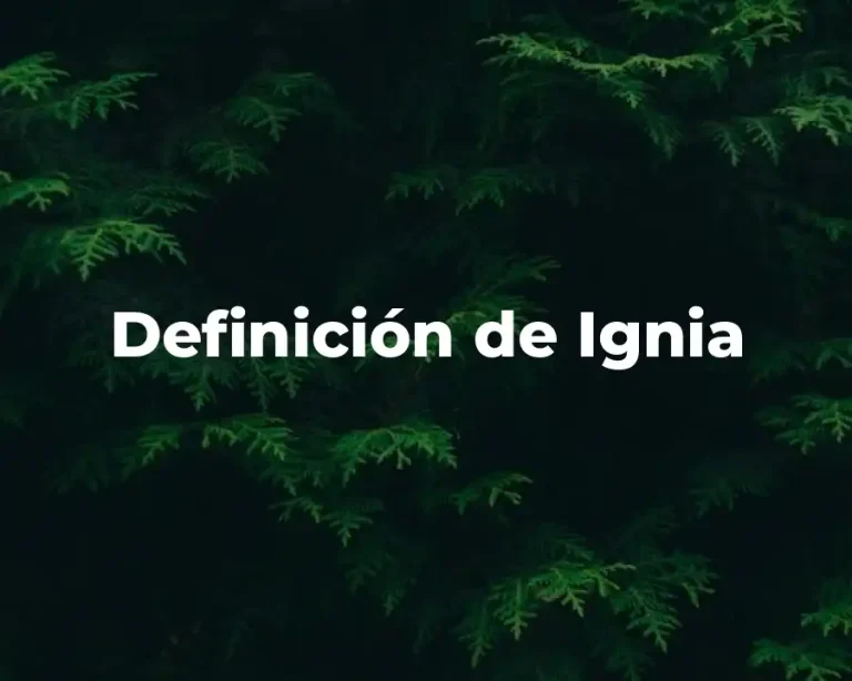 Definición de Ignia