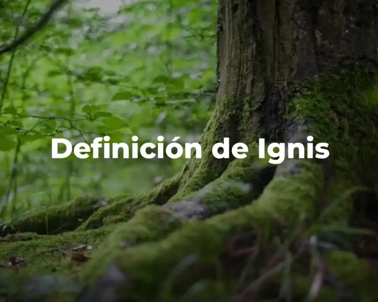 Definición de Ignis