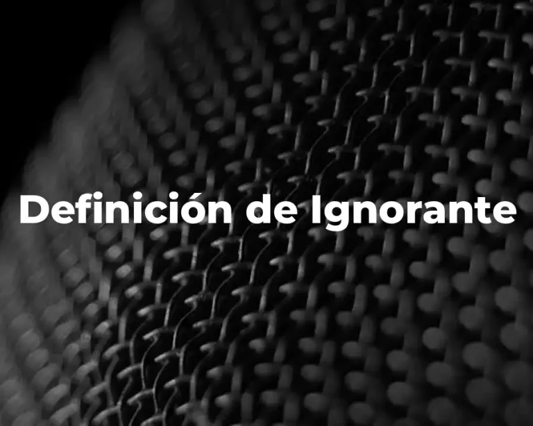 Definición de Ignorante