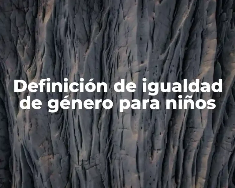 Definición de igualdad de género para niños