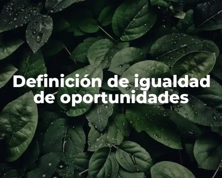 Definición de igualdad de oportunidades