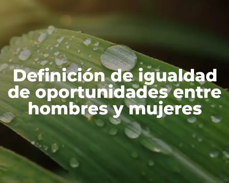 Definición de igualdad de oportunidades entre hombres y mujeres