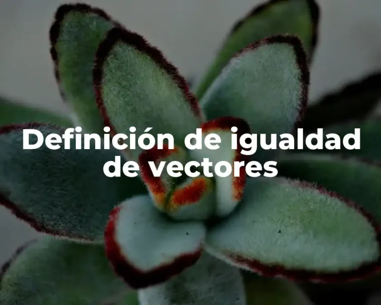 Definición de igualdad de vectores