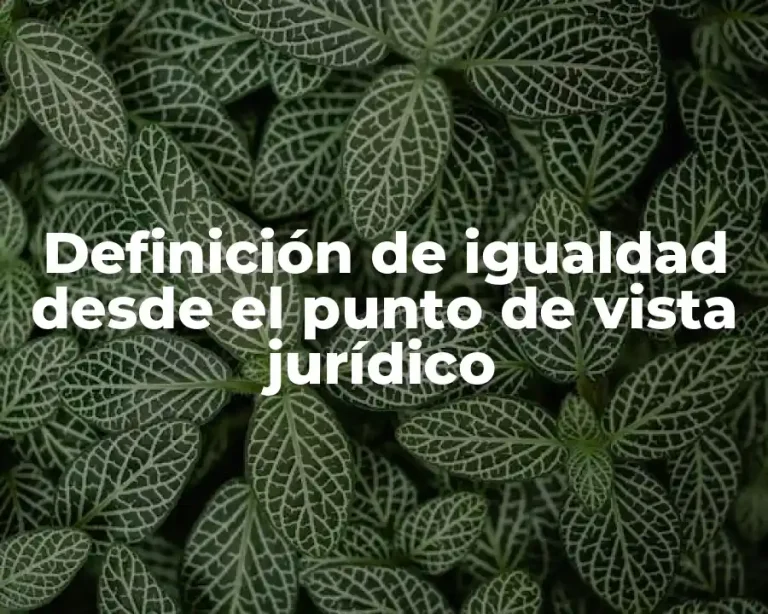 Definición de igualdad desde el punto de vista jurídico