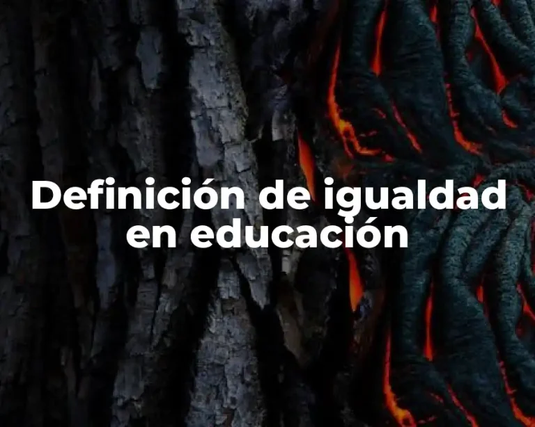 Definición de igualdad en educación