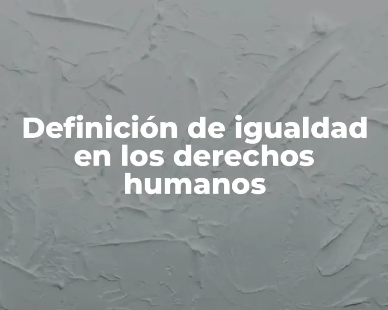 Definición de igualdad en los derechos humanos