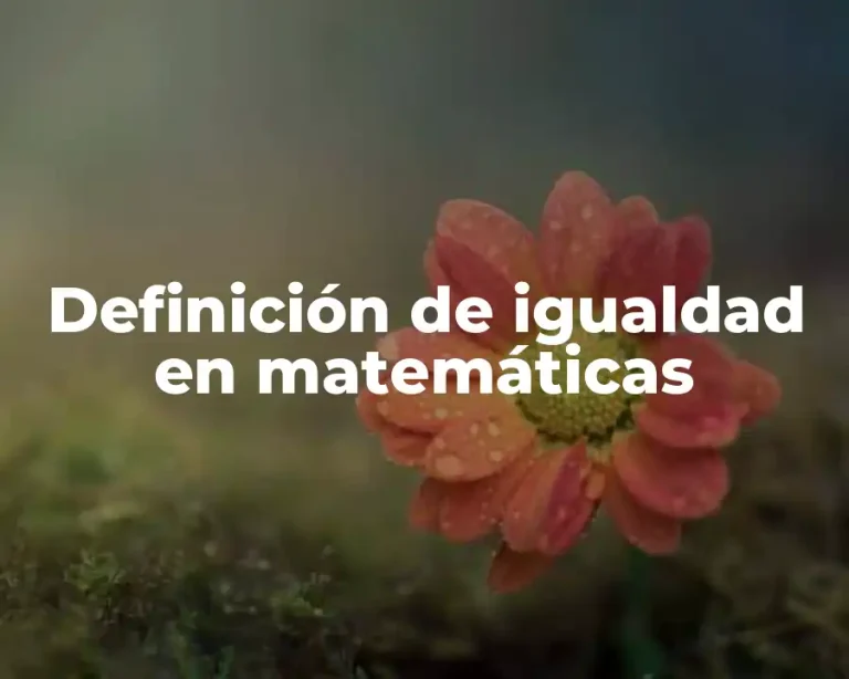 Definición de igualdad en matemáticas