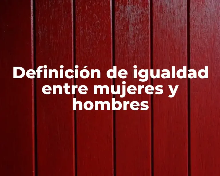 Definición de igualdad entre mujeres y hombres