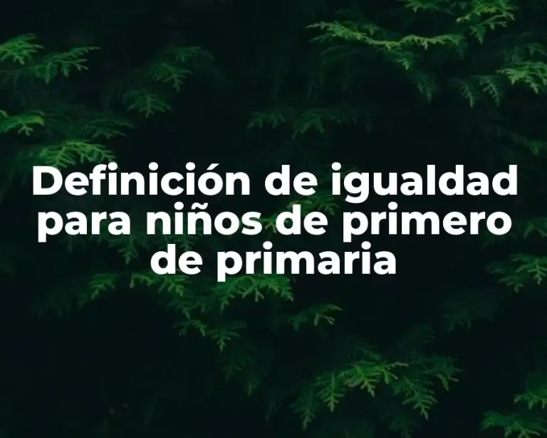 Definición de igualdad para niños de primero de primaria