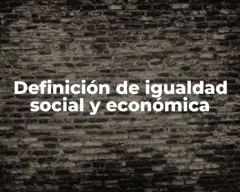 Definición de igualdad social y económica
