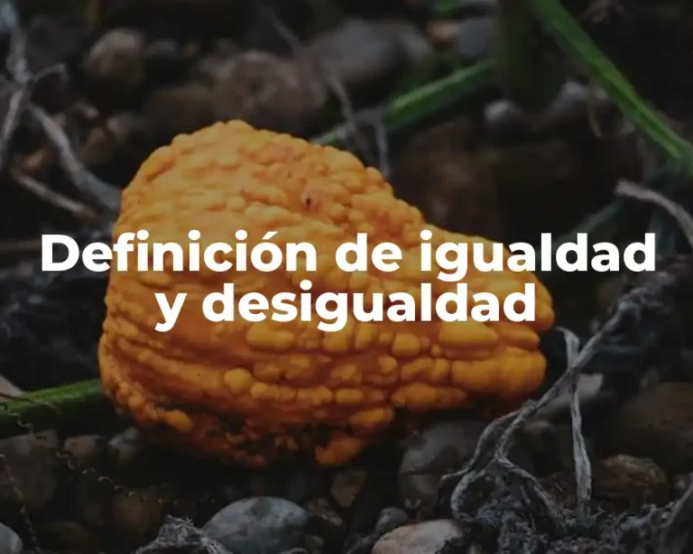 Definición de igualdad y desigualdad
