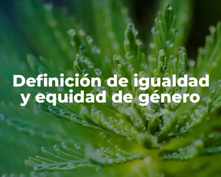 Definición de igualdad y equidad de género