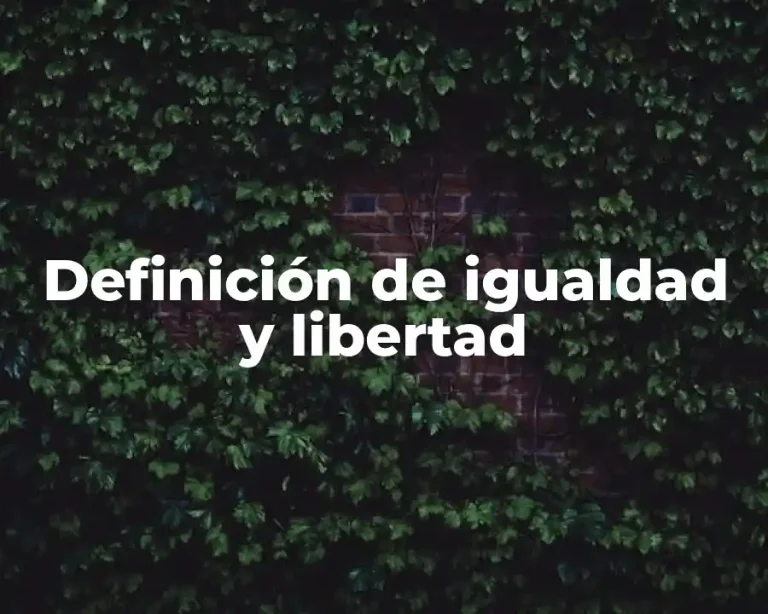Definición de igualdad y libertad