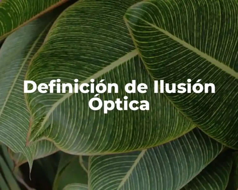 Definición de Ilusión Óptica