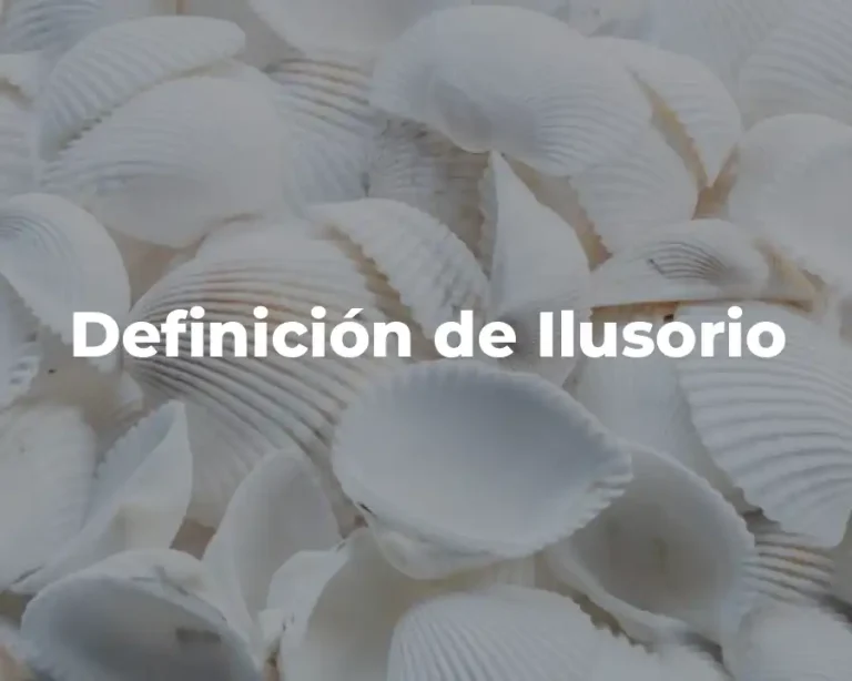 Definición de Ilusorio