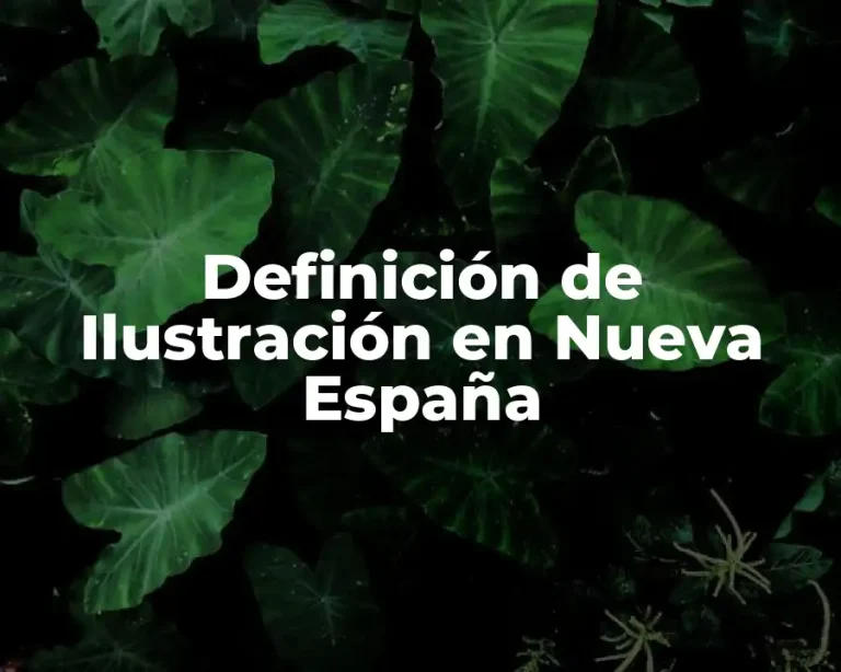 Definición de Ilustración en Nueva España
