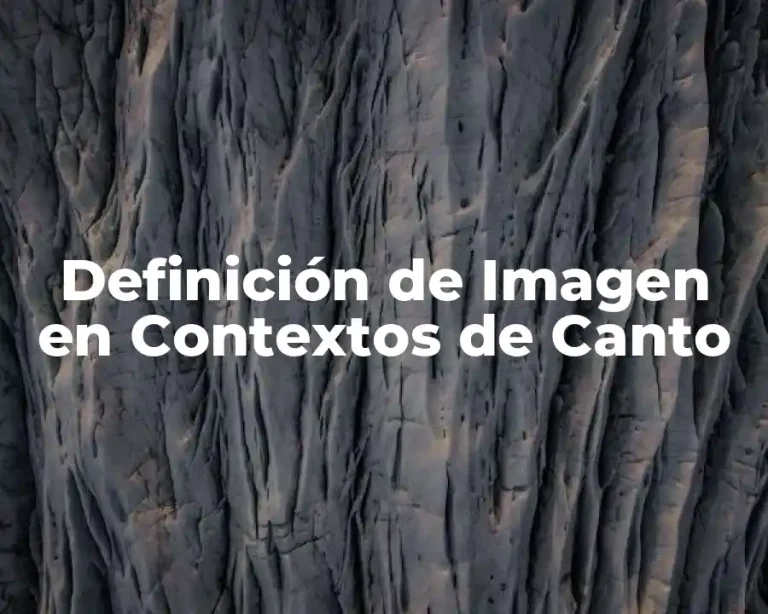Definición de Imagen en Contextos de Canto