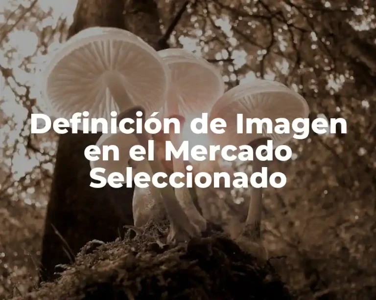Definición de Imagen en el Mercado Seleccionado