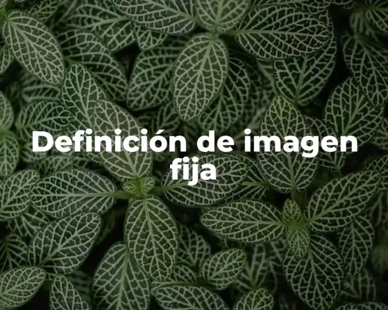 Definición de imagen fija